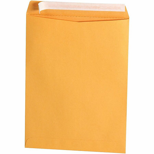 Business Source Kraft Peel-and-Stick Catalog Envelopes (40102)