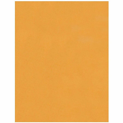 Business Source Kraft Peel-and-Stick Catalog Envelopes (40099)