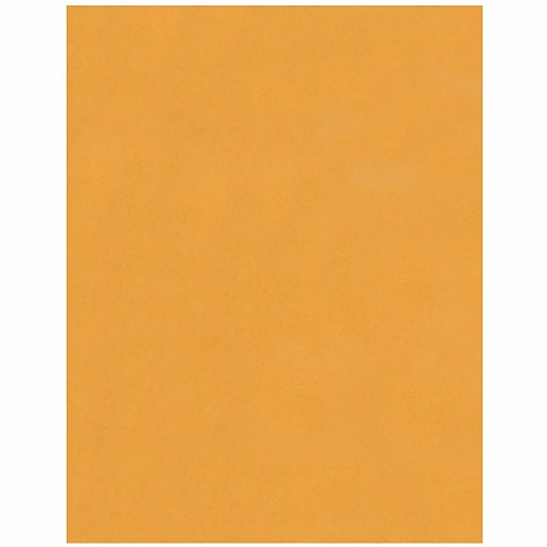 Business Source Kraft Peel-and-Stick Catalog Envelopes (40099)