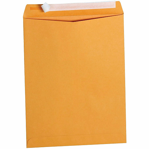 Business Source Kraft Peel-and-Stick Catalog Envelopes (40099)