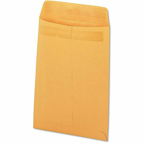 Business Source Self-Seal Catalog Envelopes (35290)