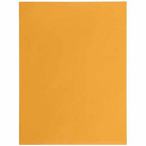 Business Source Self-Seal Catalog Envelopes (35269)