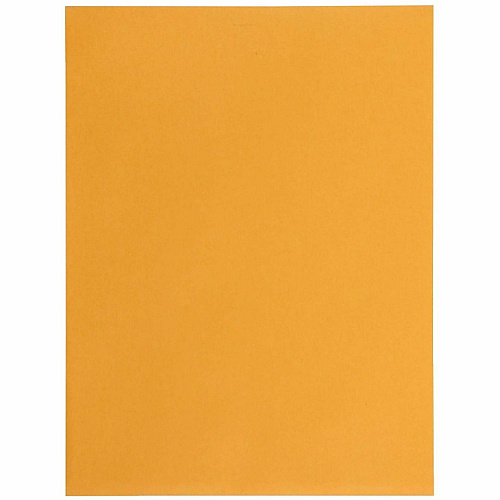 Business Source Self-Seal Catalog Envelopes (35269)