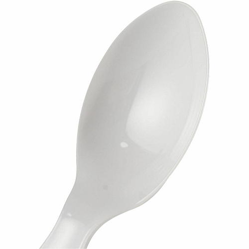 Genuine Joe Disposable Polystyrene Cutlery (30433)
