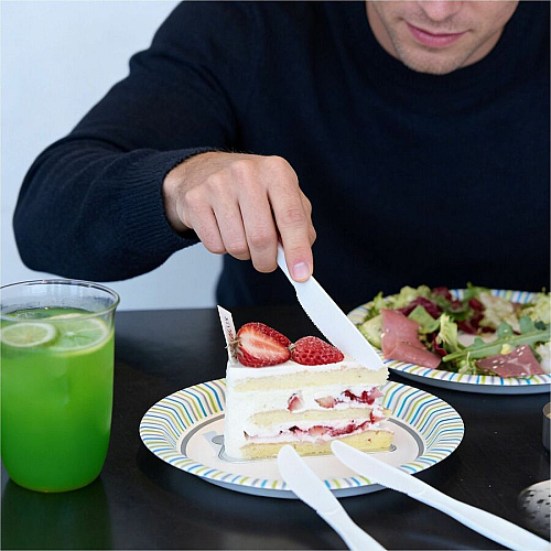 Genuine Joe Heavy-Weight Polypropylene Cutlery (30416)