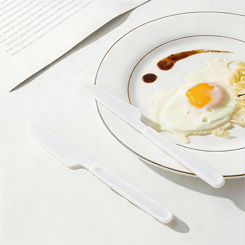 Genuine Joe Disposable Polystyrene Cutlery (30436)