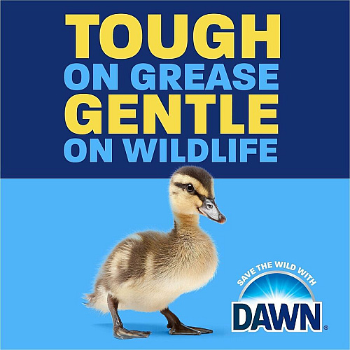 Dawn Ultra Dish Liquid Soap For Multipurpose - Liquid - 5.8 fl oz (0.2 quart) - Original Scent - Recommended For: Grease Remover, Stain Remover - Versatile, Freshen - Blue - 24 / Carton (25477)