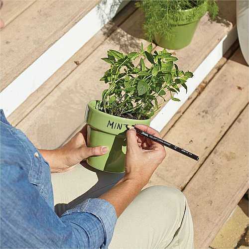 Sharpie Peel-Off Paper China Markers (2229060)