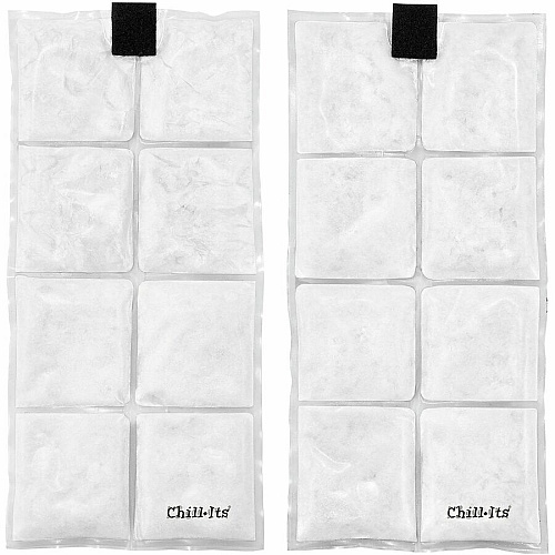 Ergodyne Chill-Its 6260 Cooling Packs Vest Kit Recommended for: Indoor/Outdoor, Industrial, Pulp & Paper, Running, Biking, Yardwork - Small/Medium - 30.75" Chest - Heat, Warm Temperature, Heat Stress Protection - Hook & Loop/Zipper Closure - 2 Poc (12009)
