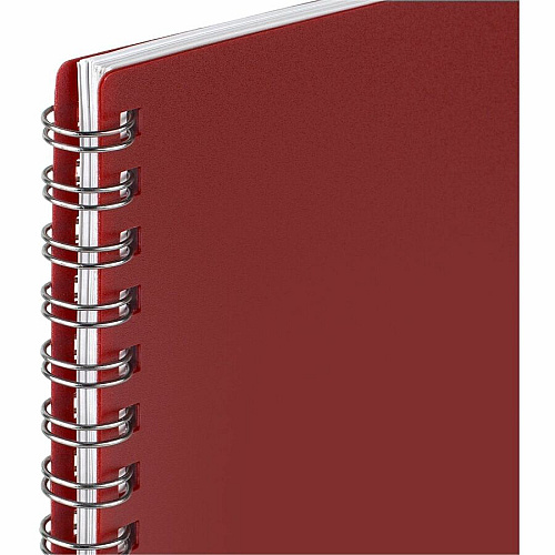 Mead BIG PLANS Weekly/Monthly Planner (CR30900)
