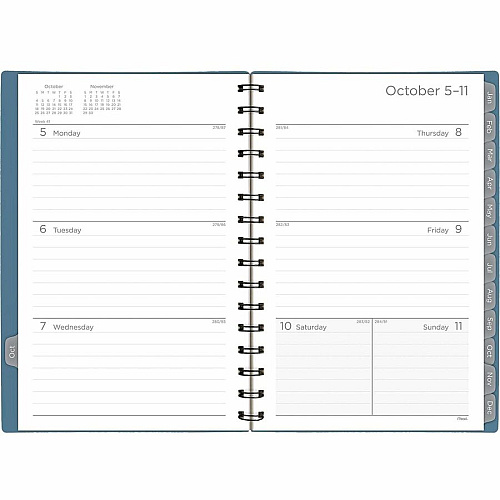 Mead Basic Weekly/Monthly Planner (CRW42020)