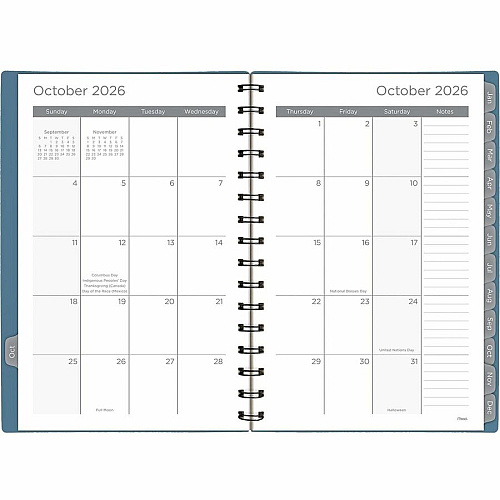 Mead Basic Weekly/Monthly Planner (CRW42020)