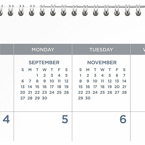 Mead BIG PLANS Monthly Wall Calendar (CR30707)