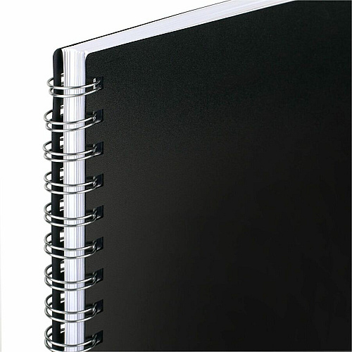 Mead BIG PLANS Weekly/Monthly Planner (CRW63005)
