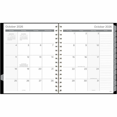 Mead Basic Weekly/Monthly Planner (CRW80505)