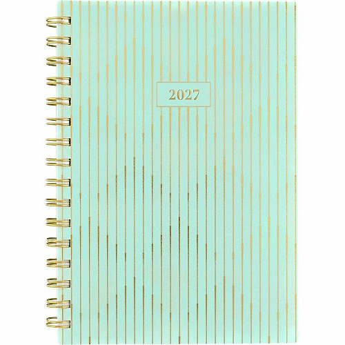 Cambridge Glimmer Weekly/Monthly Planner (1843200)