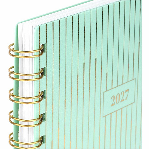 Cambridge Glimmer Weekly/Monthly Planner (1843200)