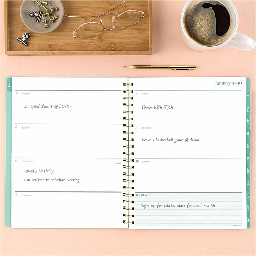 Cambridge Glimmer Weekly/Monthly Planner (1843905)