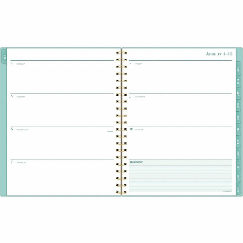 Cambridge Glimmer Weekly/Monthly Planner (1843905)