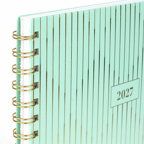 Cambridge Glimmer Weekly/Monthly Planner (1843905)