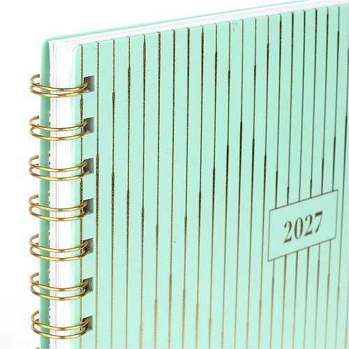 Cambridge Glimmer Weekly/Monthly Planner (1843905)