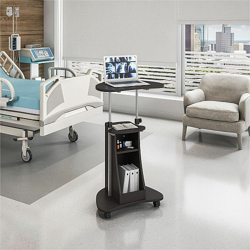 Techni Mobili Sit-to-Stand Rolling Laptop Cart 75 lb Load Capacity - 4 Casters - Medium Density Fiberboard (MDF), Polyvinyl Chloride (PVC), Laminate, Veneer - 21" Width x 16" Depth x 46" Height - Steel Frame - Graphite - 1 Each (B002GPH06)