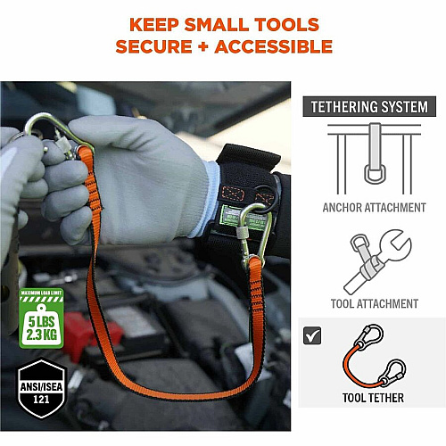 Ergodyne Squids 3154 Web Lanyard 5.07 lb Load Capacity - Medium (M) - Tether Attachment - Orange - Nylon - 3 Pack (19267)