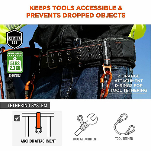 Ergodyne Arsenal 5556 3-Inch Padded Tool Belt - Tool Tethering Attachment Point Adjustable - 5.07 lb Load Capacity - Extra Small (XS)/Small (S) - Buckle Attachment - Black - Polyester - 1 / Each (13670)