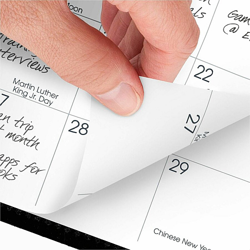 At-A-Glance Monthly Planner, Black, Pocket, 3 1/2" x 6" Monthly - 13 Month - January 2026 to January 2027 - 1 Month Double Page Layout - 3 1/2" x 6 1/8" Sheet Size - Black - Simulated Leather, Faux Leather - Pocket, Phone Directory, Unruled Dail (7006405)