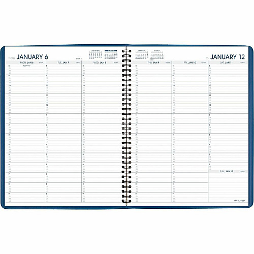 At-A-Glance Fashion Appointment Book Planner (7094020)