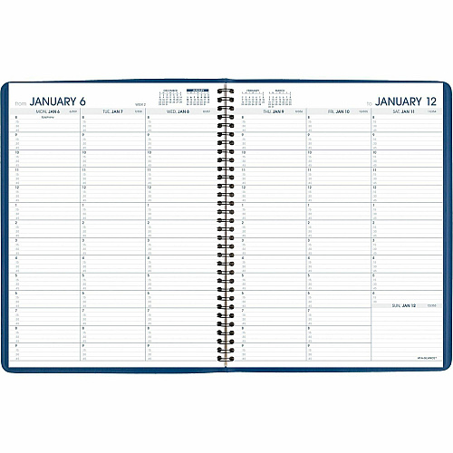 At-A-Glance Fashion Appointment Book Planner (7094020)