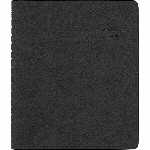 At-A-Glance Action PlannerAppointment Book Planner (70EP0305)