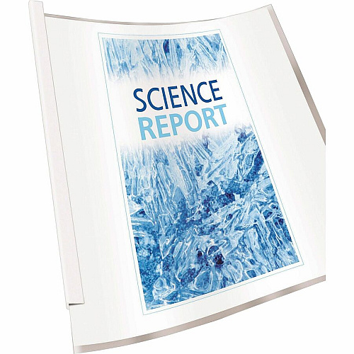Avery&reg; Report Cover 1/8" Folder Capacity - 20 Sheets Capacity - Poly - White, Clear - Non-stick - 50 / Box (47710)