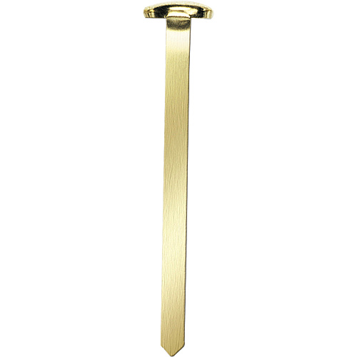 Officemate Roundhead Fasteners 2" Shank - 0.50" Head - Brass - 100 / Box (99817)