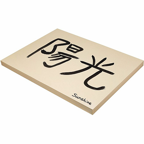 Pacon Tagboard Art, Craft - 18" Width x 24" Length - Manila - 100 / Pack (5120)