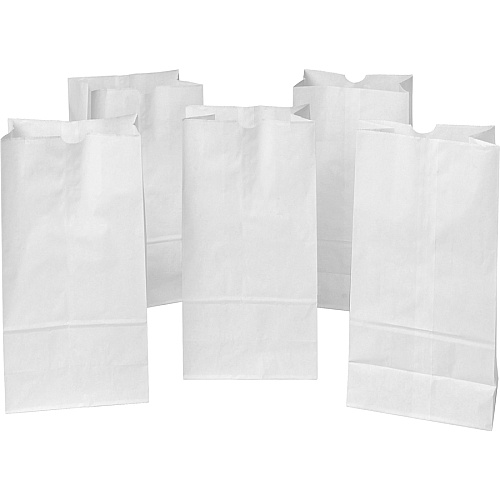 Creativity Street Kraft Bag Art Project, Craft Project, Bag, Hat - 11" Height x 6" Width - White - Kraft - 100 / Pack (72020)