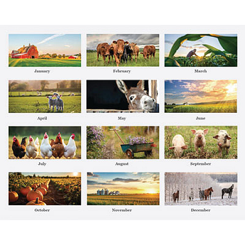 House of Doolittle 100% Recycled Farm Life Wall Calendar, 11 x 14, White/Multicolor Sheets, 12-Month (Jan-Dec): 2026 (316)