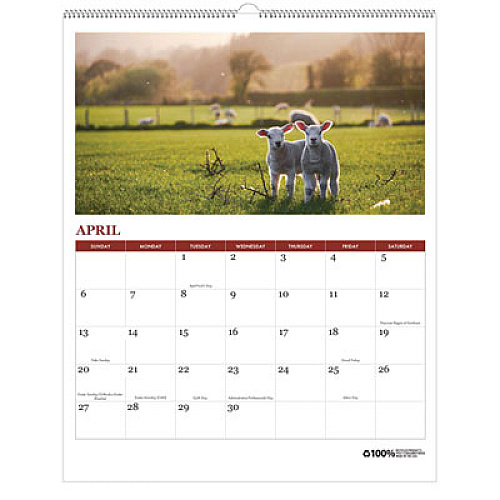 House of Doolittle 100% Recycled Farm Life Wall Calendar, 11 x 14, White/Multicolor Sheets, 12-Month (Jan-Dec): 2026 (316)