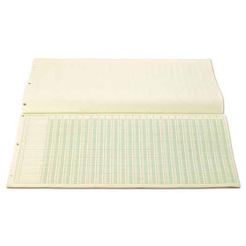 Wilson Jones Accounting Pad, 25 Six-Unit Columns, 11 x 24 1/4, 50-Sheet Pad (G7225A)