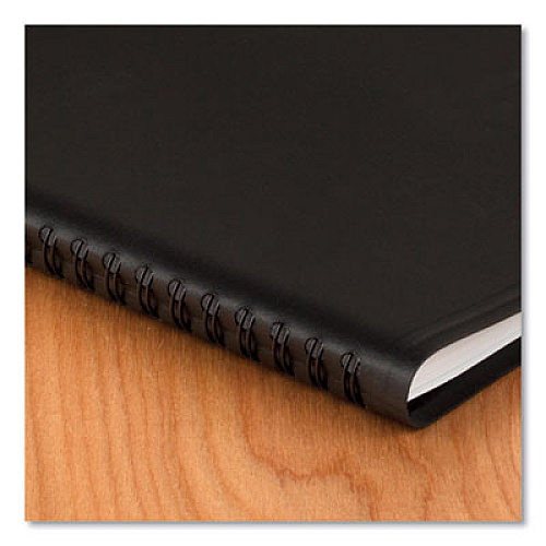 At-A-Glance QuickNotes Appointment Book Planner (760405)