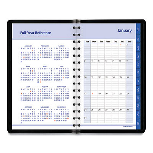 At-A-Glance QuickNotes Appointment Book Planner (760405)
