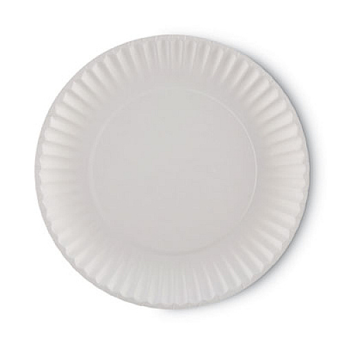 Dixie White Paper Plates, 9" dia, 250/Pack, 4 Packs/Carton (WNP9OD)