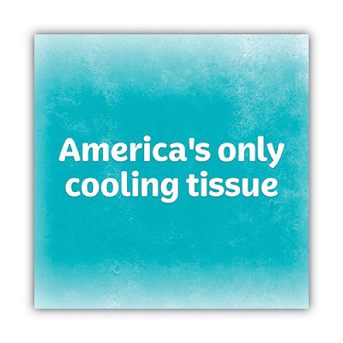 Kleenex Cool Touch Facial Tissue, 2-Ply, White, 45 Sheets/Box (50140BX)