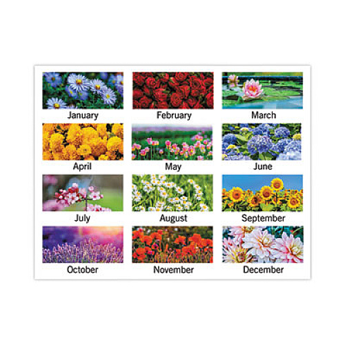 At-A-Glance Panoramic Floral Desk Pad (89805)