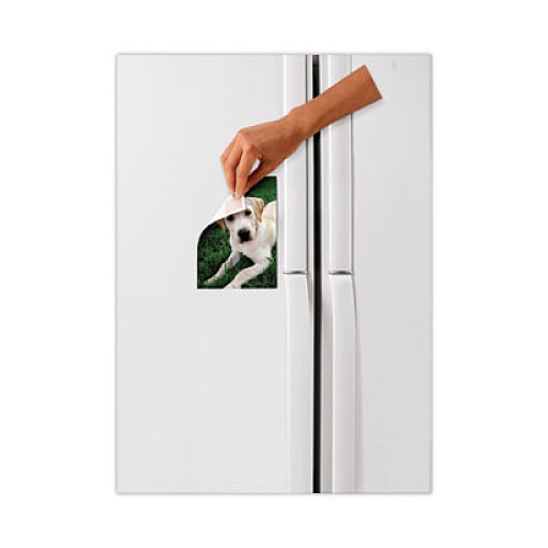 Scotch Precut Removable Mounting Tabs, Removable, Holds Up to 0.25 lb, 6 Tabs, Double-Sided, 0.5 x 0.75, Black, 480/Pack 0.45" Length x 0.45" Width - Synthetic - 125 mil - Open-cell Foam Backing - For Mounting Artwork, Sign, Multi Surface, Mount Pi (7225)