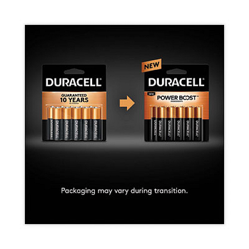 Duracell Power Boost CopperTop Alkaline AAA Batteries, 12/Pack (MN24RT12Z)