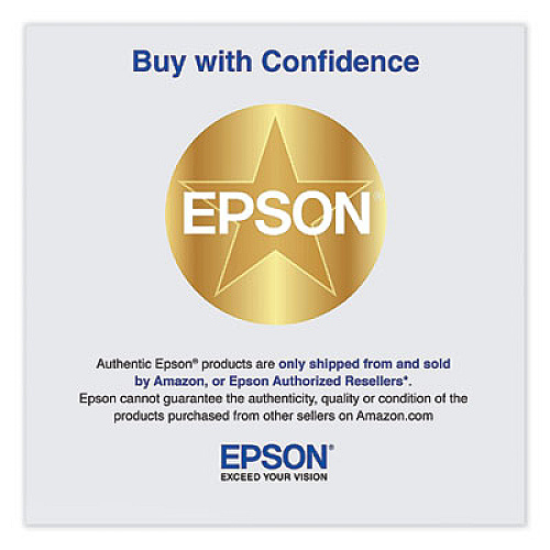 Epson C13S210057 Maintenance Box