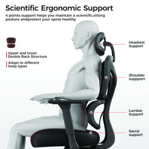 Eureka Norn Ergonomic Chair, Supports Up to 275 lb, 18.11" to 22.04" Seat Height, Black/Red Mesh Seat/Back, Black Base (GC06R)