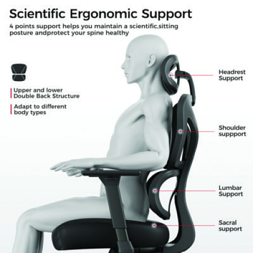 Eureka Norn Ergonomic Chair, Supports Up to 275 lb, 18.11" to 22.04" Seat Height, Black/Gray Mesh Seat/Back, Black Base (GC06GY)