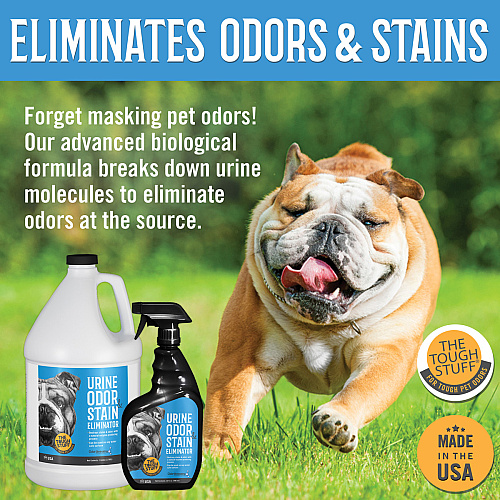Tough Stuff Urine Odor & Stain Eliminator, Original, 32oz - Case Of 12 (32NTP-CS)